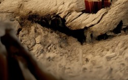 History event口语，2025年最该用哪些地道表达聊历史事件？