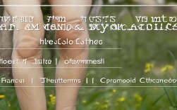 风湿性关节炎高发季，这5个小常识能帮你预防吗？