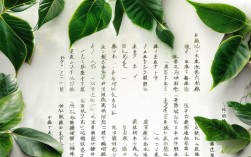 叶圣陶杯作文风格