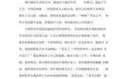 大城市生活作文