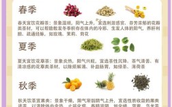 饮茶有哪些健康小常识？