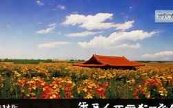 新增无症状算不算中风险，新增无症状算不算中风险了