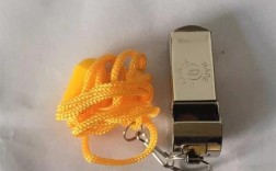 常识如何随口哨声变换？