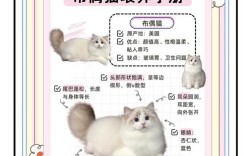 宠物饲养有哪些基本常识？