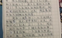 小作文该写什么
