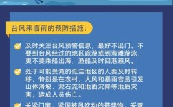 城管 台风安全教育