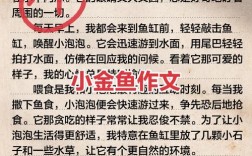 fish 作文