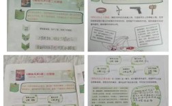 爱护树林的常识阅读答案