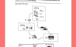 雅思作文走题，雅思作文走题技巧