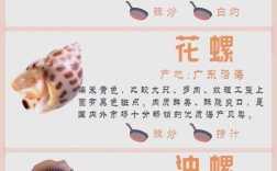海南菜螺有哪些健康食用小常识？