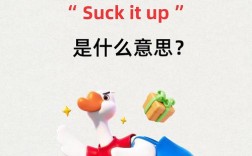 tight口语，tidiness口语