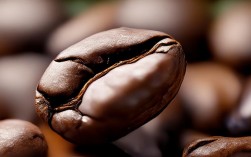 2025雅思作文咖啡豆素材，最新话题预测+高分例句？