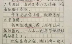广告的好坏作文