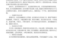 十一安全教育体会