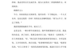 写购物的好作文，写购物的好作文600字