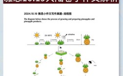 雅思小作文思路，雅思作文思路分析