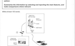 制砖雅思小作文，雅思小作文流程图砖块
