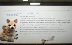 动物实验作文韩语