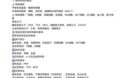 免疫学基本常识