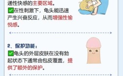 初中生男生生理常识，哪些必知？