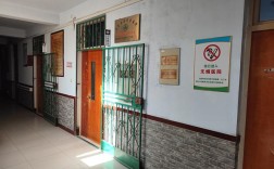 莱芜区2025年小升初政策有哪些新变化？学区划分、报名流程及录取规则是怎样的？