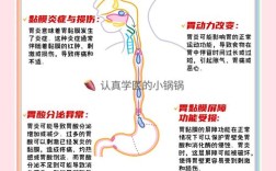 胃健康常识有哪些常见误区？