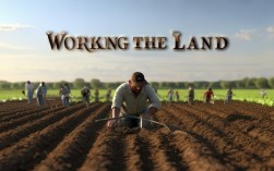 working the land作文，workingtheland作文