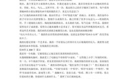 oil的作文，oil painting作文