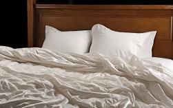 2025年蚕丝被英文作文怎么写？最新素材与结构解析