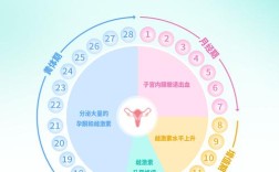 月经时间长，哪些妇科问题需警惕？