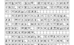 朱宏 小作文例文，朱虹的作文