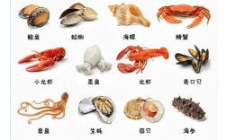 酒店如何科学养殖海鲜才能确保鲜活又安全？成本控制与品质维护有哪些关键点？