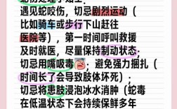 夏季防虫蛇叮咬，有哪些实用小常识？