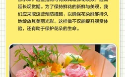 鲜花怎么选才新鲜？日常保鲜有啥妙招？