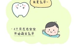 婴幼儿牙齿护理，关键要注意什么？