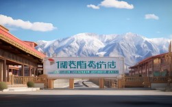 青海玉树教育政策有何特色与成效？