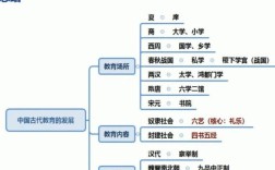 小学教育政策如何随时代变迁而演变？
