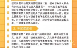 新政策下素质教育如何落地？