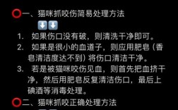 被猫挠了怎么办？伤口要处理吗？
