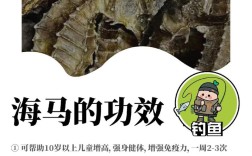 小学生海马吃什么？