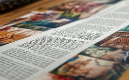 扇形图怎么写成记叙文？