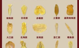 鱼胶常识有哪些？你了解多少？