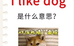 panda雅思口语，雅思口语dog