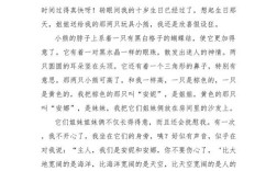 玩具大流行作文，玩具大流行作文怎么写