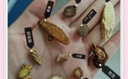 如何快速鉴别中药材真假？