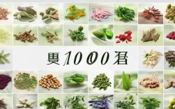 2025年必看！100种国药常识有哪些最新健康提醒？