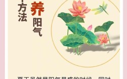 夏季养生简短小常识