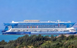 维生素K知识点2025最新版，哪些人该补？食物来源有哪些？