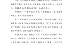 寒假安全教育作文，该写哪些重点内容？