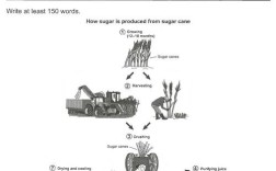 剑桥6作文test2 小作文